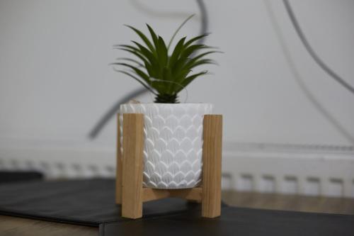 a plant in a white vase sitting on a table at Hayy Studios Blackhouse in Huddersfield