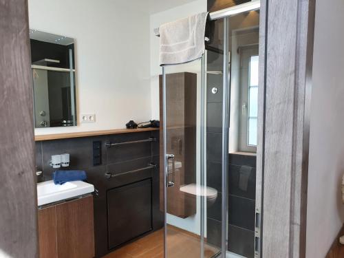 a bathroom with a glass shower and a sink at Ferienhaus Wiesenpieper in Dornum