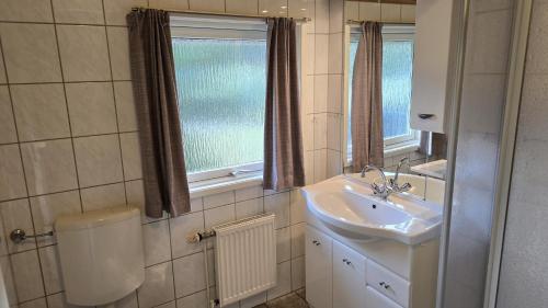 a bathroom with a toilet and a sink at Ferienhaus Eichhörnchenhöhle in Haren
