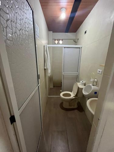 a bathroom with a toilet and a sink at Casa compartida - Las 5 Quintas in San Rafael