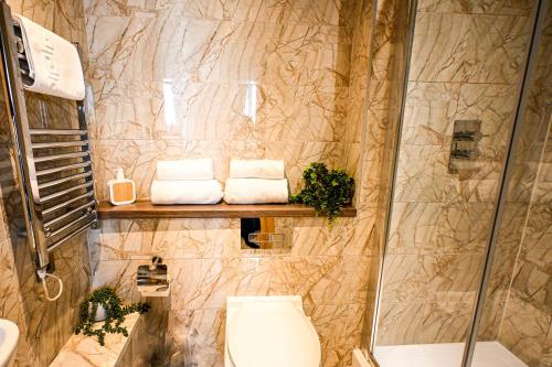 a bathroom with a toilet and a shower at Starr Place in Liverpool