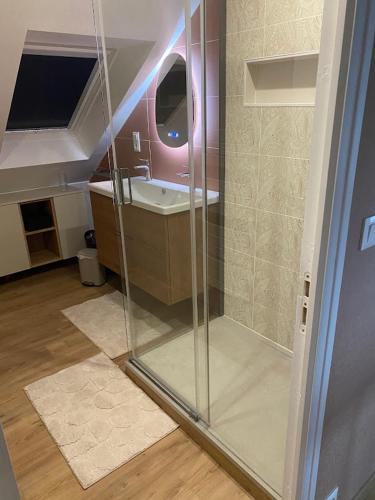 a bathroom with a shower with a sink and a mirror at Chambres d'hôtes de l'Eau dit Sée in Cuves