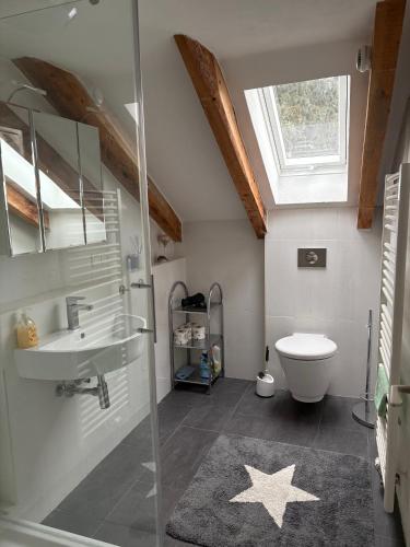 a bathroom with a glass shower and a toilet at Delfinia in Althegnenberg