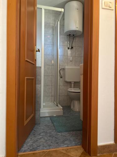 a bathroom with a shower and a toilet and a door at Apartment House Liznjan in Ližnjan