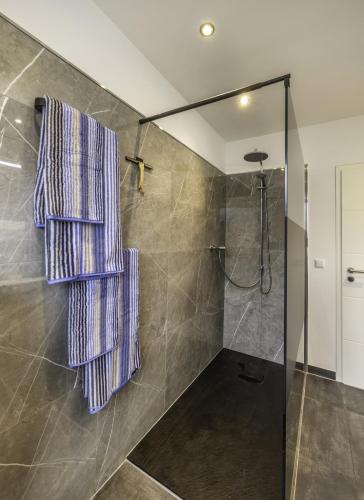 a bathroom with a shower with purple striped towels at Die Blaue Pause 42 in Weißenstadt