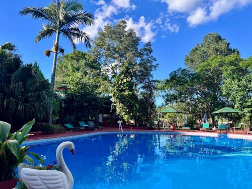 a swimming pool at a resort with a swan in the middle at Hotel Carmen in Puerto Iguazú