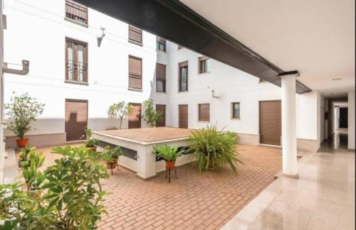 Living Sevilla & Parking gratis