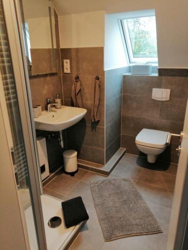 a bathroom with a sink and a toilet at Weingut Stefan Meyer in Rhodt unter Rietburg