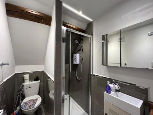 a bathroom with a shower and a toilet and a sink at The Cotswold Wellhouse in Tetbury