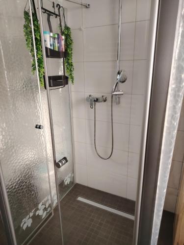 a bathroom with a shower with a glass door at Apartment 28 in Stadthagen