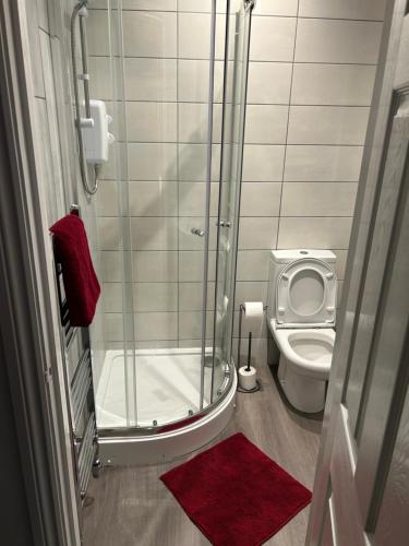 a bathroom with a shower and a toilet at Barratt Street En-Suite Rooms in Bristol