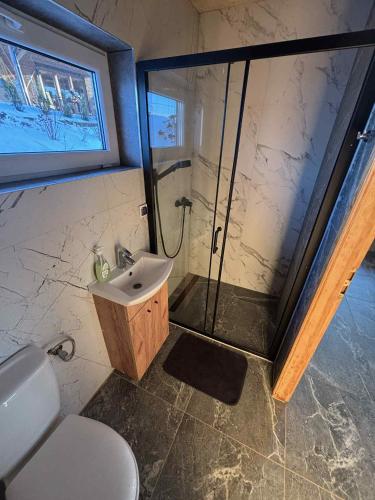 a bathroom with a shower and a sink and a toilet at Sowie wzgórze in Krynica Zdrój