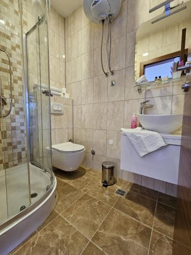 a bathroom with a shower and a sink and a toilet at Apartments Divanhana 2 in Kiseljak