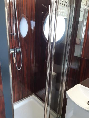 a shower with a glass door in a bathroom at Hausboot Havelrobbe in Brandenburg an der Havel