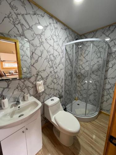 a bathroom with a shower and a toilet and a sink at Cabañas Varas in Osorno