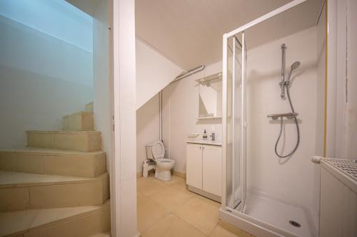 a bathroom with a shower and a toilet at Zenitude Villa - Indoor Pool & Jacuzzi in Jezainville