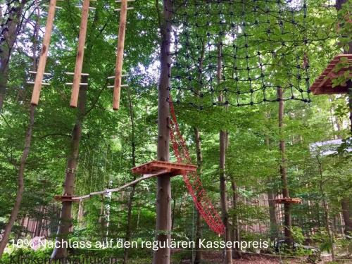 a net on a tree in a forest at Hasenfeldlodges in Sögel