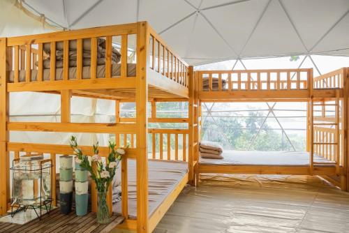 two bunk beds in a room with a window at Tropical eglamping in Tân Phú