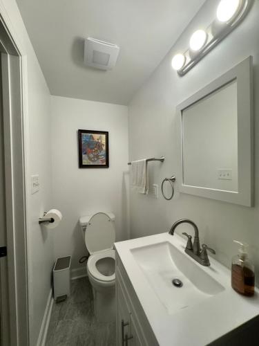 a bathroom with a toilet and a sink and a mirror at Studio Apartment Antonine in New Orleans