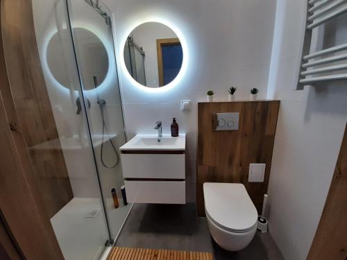 a bathroom with a toilet and a sink and a mirror at Apartament 12 in Zwardoń