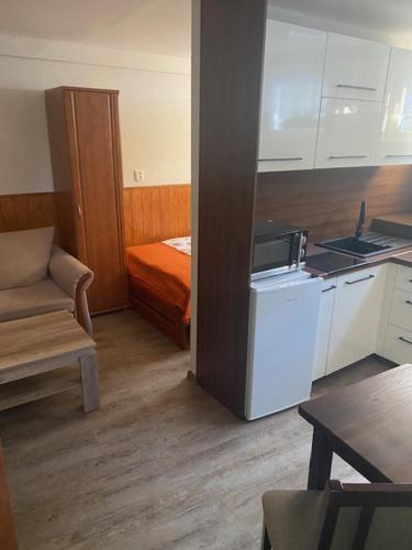 a small room with a kitchen and a bed at Penzion OK in Svoboda nad Úpou