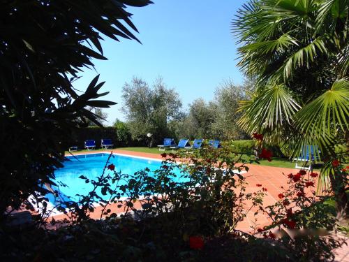 a swimming pool with blue chairs and palm trees at Casa Pagani in Brenzone sul Garda
