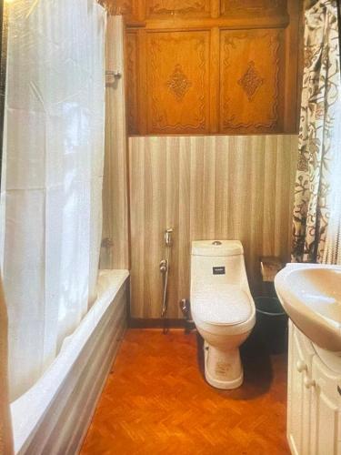 a bathroom with a toilet and a sink at Heevan in Srinagar