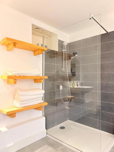 a bathroom with a shower and a sink at Demeure de charme, appartement du Campu di l altru mondu in San-Giuliano