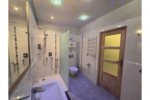 a bathroom with a toilet and a shower and a sink at Apartamenty Aquarius - Latarnik in Gdynia