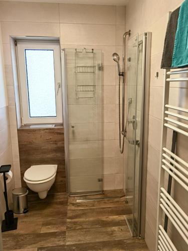 a bathroom with a toilet and a glass shower at Ferienwohnung Leni mit Balkon in Maroldsweisach