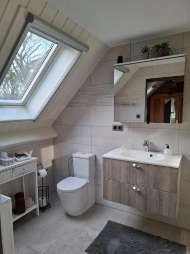 a bathroom with a toilet and a sink and a window at B&B 't Heirweggoed in Assenede