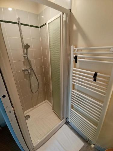una doccia con una porta in vetro in un bagno di Le Saint Georges a Chinon