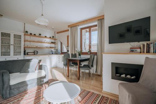 a living room with a couch and a fireplace at WHY NOT Apartament Krywań in Kościelisko