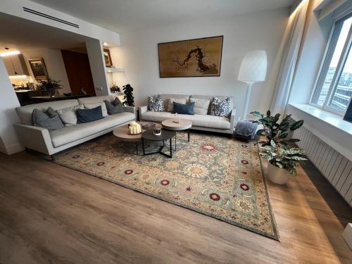 Bright spacious luxury apartment