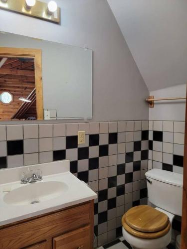a bathroom with a sink and a toilet and a mirror at Mountain Rose- Hot Tub, Pool Table, Firepit in Stanton