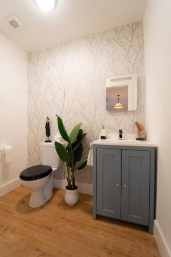 a bathroom with a toilet and a sink at Renada Cottage - Dingle Town Centre in Dingle