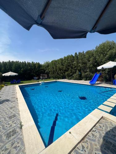 شاليه نيفيرا