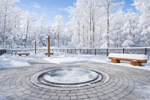 a fire pit in a park covered in snow at Tremblant Prestige - Verbier 9-201 in Mont-Tremblant