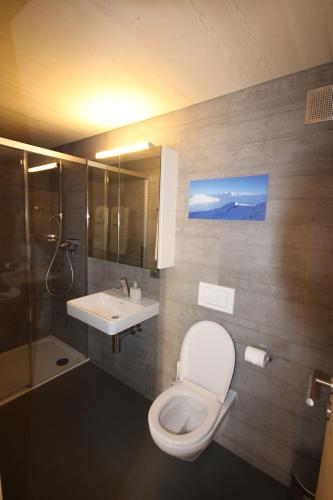 a bathroom with a toilet and a sink and a shower at Ferienwohnung Aviez Savognin in Savognin
