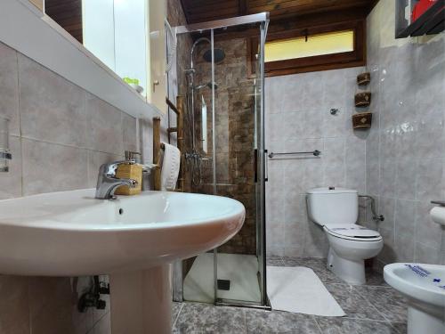 a bathroom with a sink and a shower and a toilet at Rincón de Madagascar VV-2192-AS in Arriondas