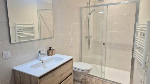 a bathroom with a shower and a sink and a toilet at Sous les Toits Yssoiriens - Centre-Ville in Issoire