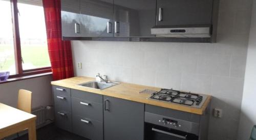 a small kitchen with a sink and a stove at B&B De Betuwe Asch in Asch