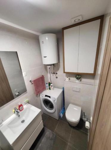 a small bathroom with a toilet and a sink at Master apartman in Podgorica