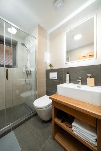 a bathroom with a toilet and a sink and a shower at Aspen Lodge Apartments & Sauna in Černý Dŭl