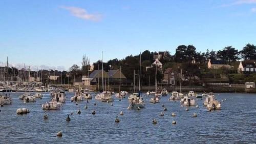 Duplex Atypique Au Port de Dahouet