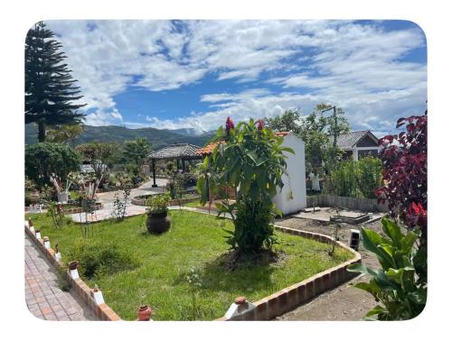 a garden with a tree in the middle of a yard at Quinta 4 esquinas cerca de Chachimbiro in Hacienda San Clemente