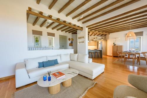 Villa Atlas, in the outskirts of Naousa
