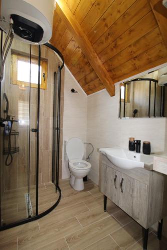 a bathroom with a toilet and a shower and a sink at Etno Lug - Village in Bogetići