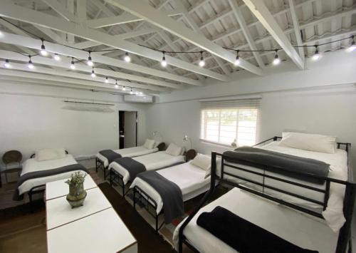 a room with four beds and lights on the ceilings at Marble Nights Damoi Parys in Vosburg