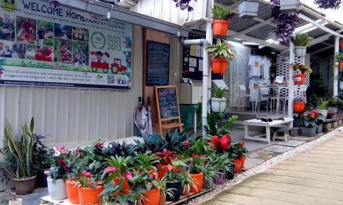 a flower shop with a bunch of flowers and plants at Moonriver Lodge in Cameron Highlands